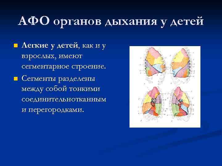 АФО органов дыхания у детей n n Легкие у детей, как и у взрослых,