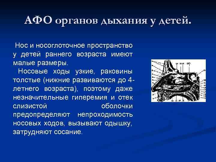 АФО органов дыхания у детей. Нос и носоглоточное пространство у детей раннего возраста имеют