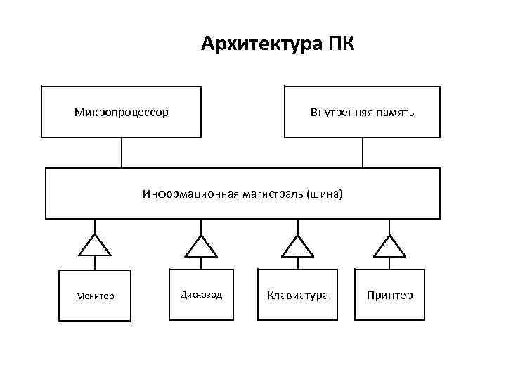 Основные компоненты общей функциональной схемы работы компьютера клавиатура монитор дисковод принтер