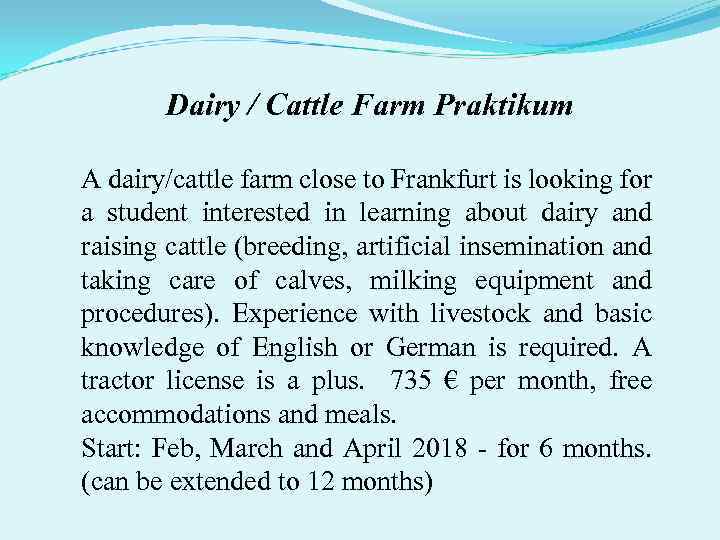 Dairy / Cattle Farm Praktikum A dairy/cattle farm close to Frankfurt is looking for