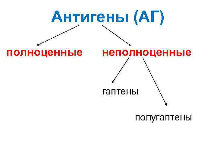 Антигены (АГ) полноценные неполноценные гаптены полугаптены 