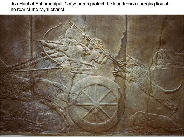 Lion Hunt of Ashurbanipal: bodyguards protect the king from a charging lion at the