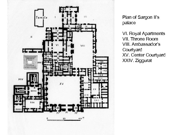 Plan of Sargon II’s palace VI. Royal Apartments VII. Throne Room VIII. Ambassador’s Courtyard