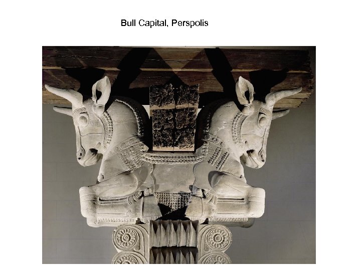 Bull Capital, Perspolis 