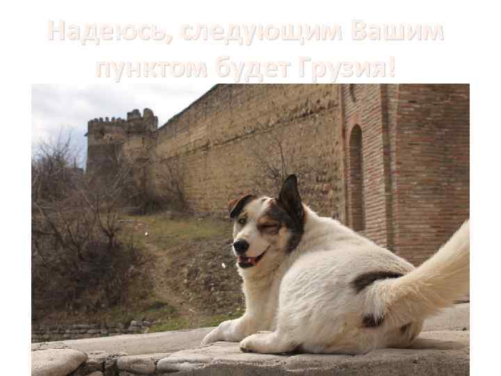 Надеюсь, следующим Вашим пунктом будет Грузия! 