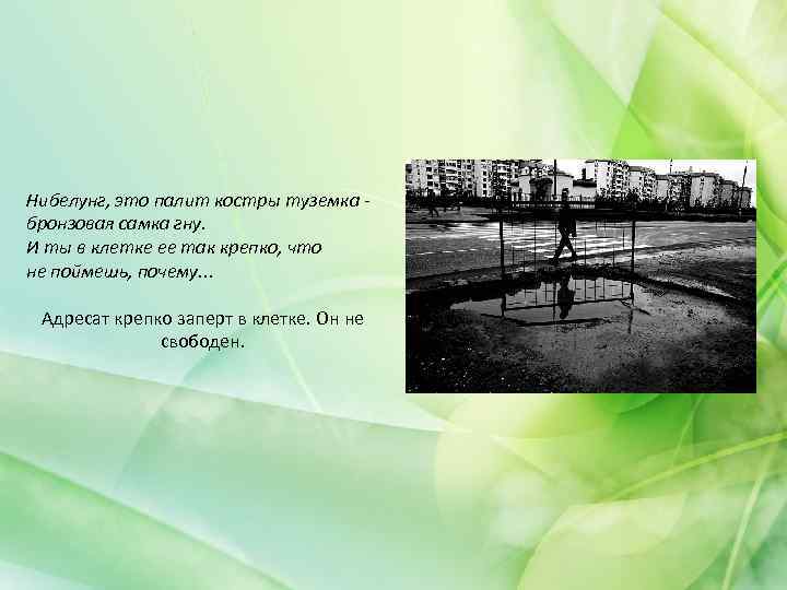 Нибелунг, это палит костры туземка бронзовая самка гну. И ты в клетке ее так
