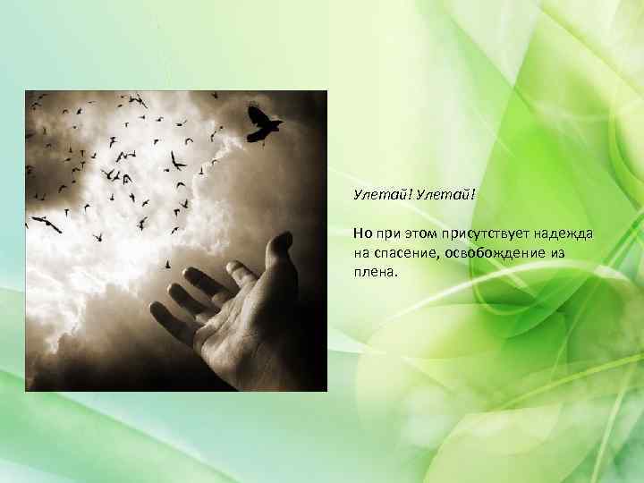 Улетай! Но при этом присутствует надежда на спасение, освобождение из плена. 