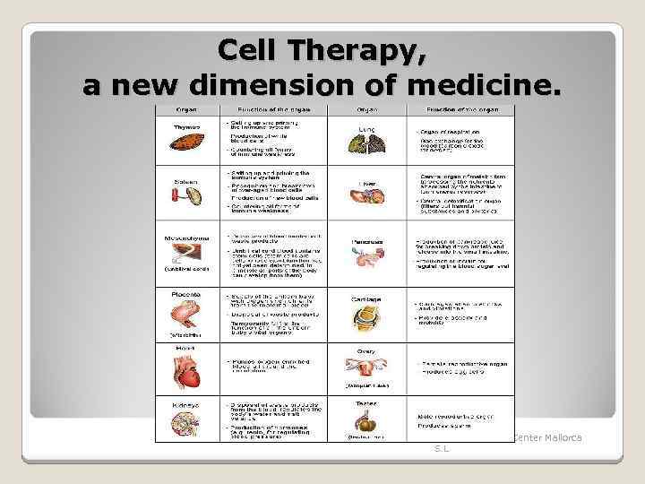 Cell Therapy, a new dimension of medicine. Biological Health Center Mallorca S. L 