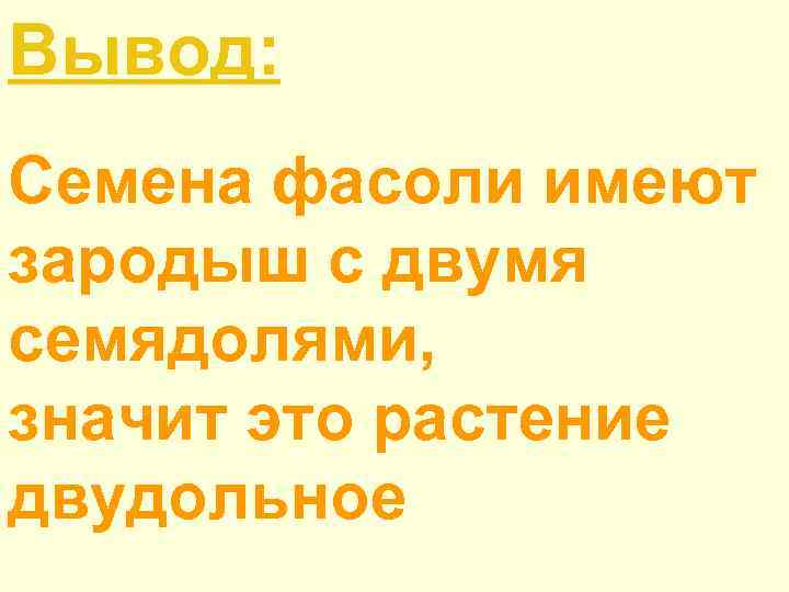 Вывод: Семена фасоли имеют зародыш с двумя семядолями, значит это растение двудольное 