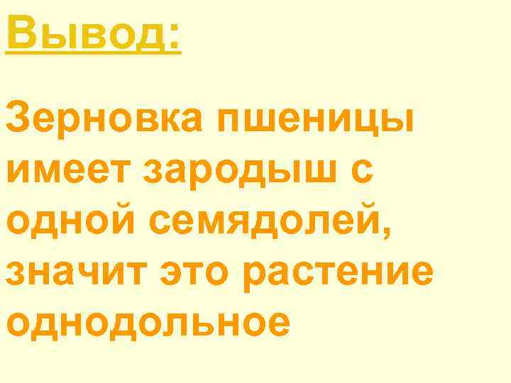Вывод: Зерновка пшеницы имеет зародыш с одной семядолей, значит это растение однодольное 