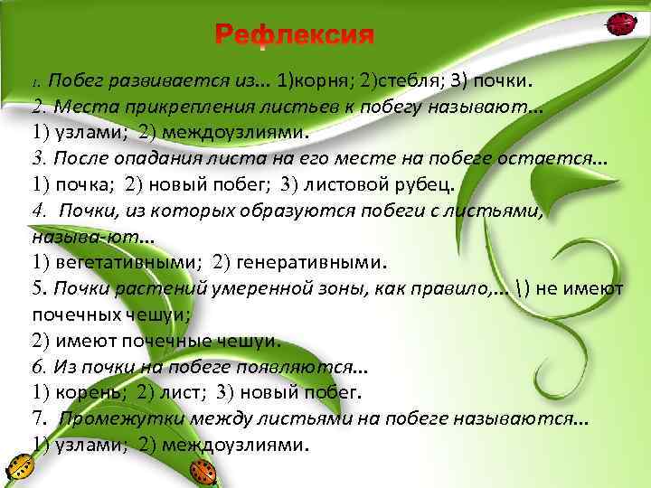 . Побег развивается из. . . 1)корня; 2)стебля; 3) почки. 2. Места прикрепления листьев