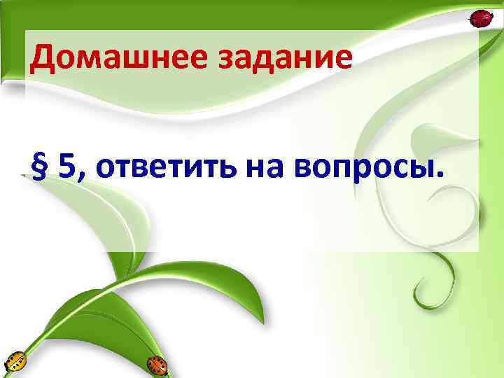 Домашнее задание § 5, ответить на вопросы. 