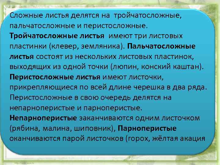 Сложные листья делятся на тройчатосложные, пальчатосложные и перистосложные. Тройчатосложные листья имеют три листовых пластинки