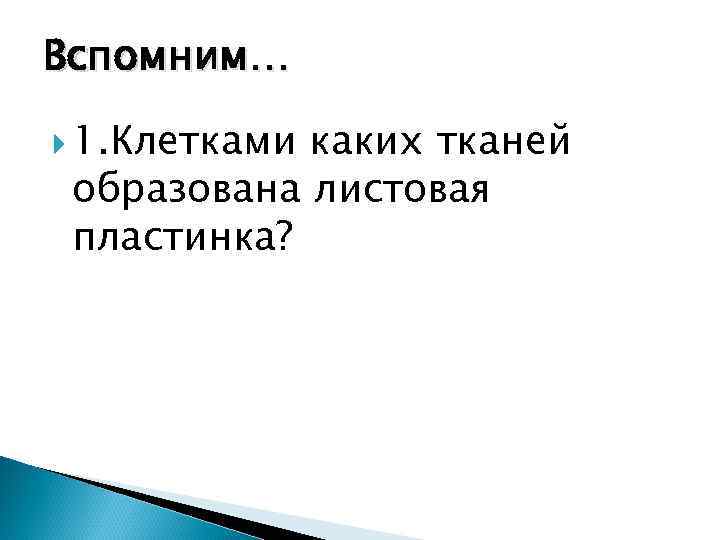 Вспомним… 1. Клетками каких тканей образована листовая пластинка? 