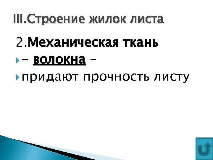 III. Строение жилок листа 2. Механическая ткань - волокна – придают прочность листу 