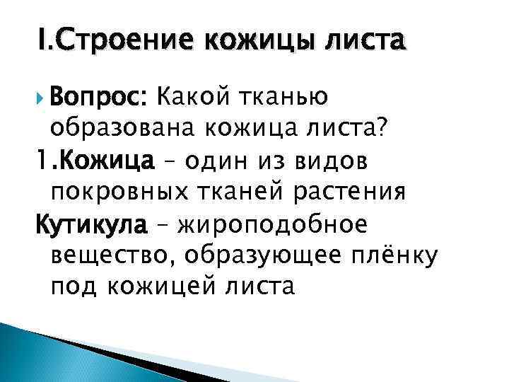  I. Строение кожицы листа Вопрос: Какой тканью образована кожица листа? 1. Кожица –