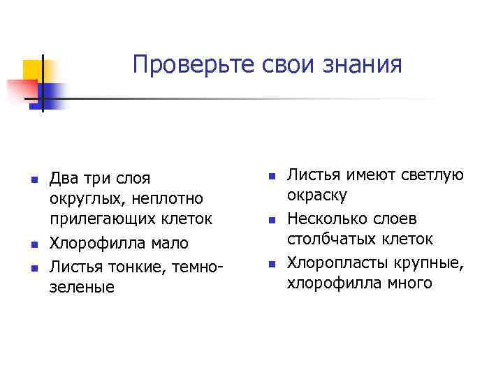 Проверьте свои знания n n n Два три слоя округлых, неплотно прилегающих клеток Хлорофилла