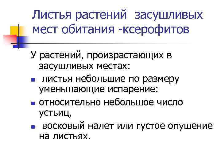 Листья растений засушливых мест обитания -ксерофитов У растений, произрастающих в засушливых местах: n листья