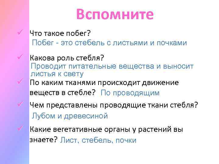 Вспомните ü Что такое побег? Побег - это стебель с листьями и почками ü