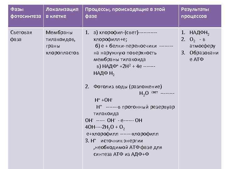 Фотолиз происходит в световой фазе фотосинтеза