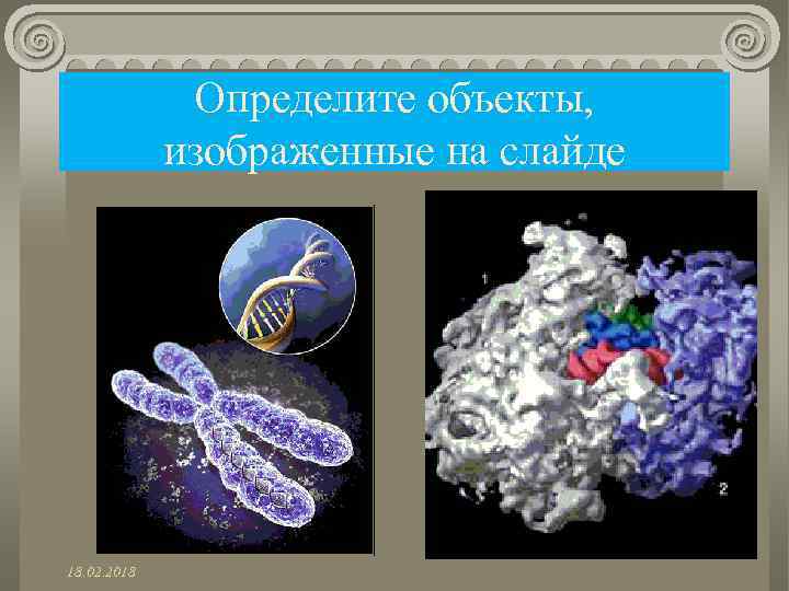 Определите объекты, изображенные на слайде 18. 02. 2018 