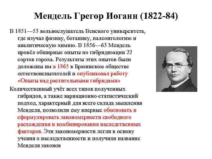 Мендель Грегор Иоганн (1822 -84) В 1851— 53 вольнослушатель Венского университета, где изучал физику,