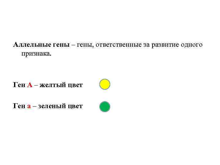 Аллельные гены – гены, ответственные за развитие одного признака. Ген А – желтый цвет