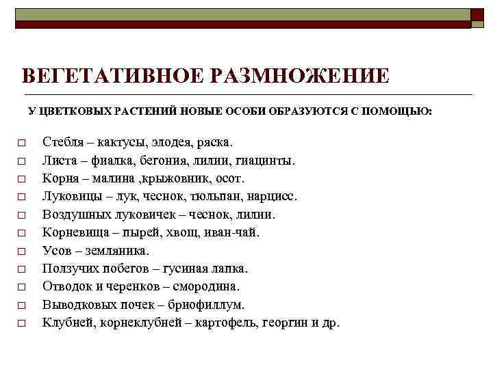 ВЕГЕТАТИВНОЕ РАЗМНОЖЕНИЕ У ЦВЕТКОВЫХ РАСТЕНИЙ НОВЫЕ ОСОБИ ОБРАЗУЮТСЯ С ПОМОЩЬЮ: o o o Стебля