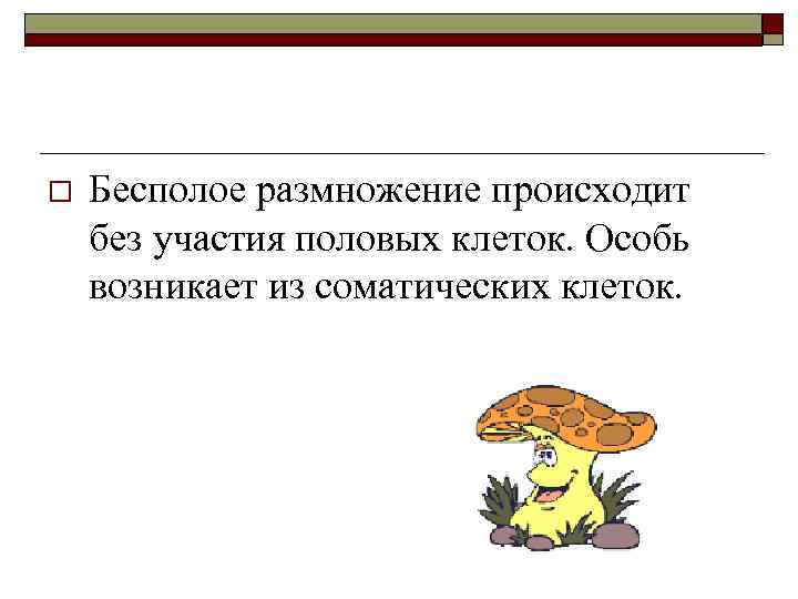 o Бесполое размножение происходит без участия половых клеток. Особь возникает из соматических клеток. 