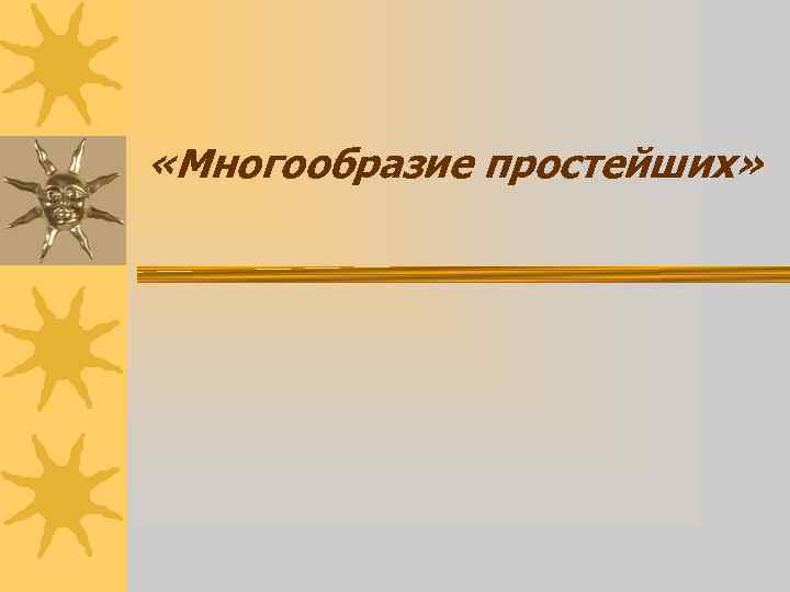  «Многообразие простейших» 