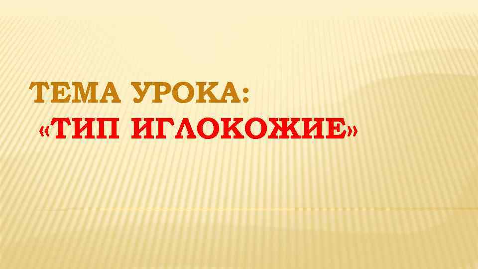 ТЕМА УРОКА: «ТИП ИГЛОКОЖИЕ» 