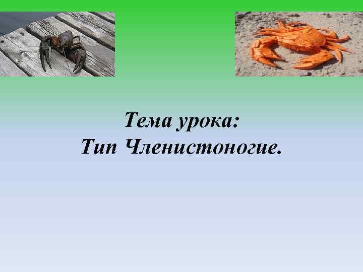 Тема урока: Тип Членистоногие. 