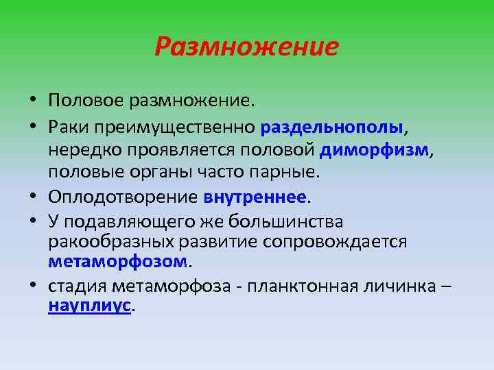 Размножение • Половое размножение. • Раки преимущественно раздельнополы, нередко проявляется половой диморфизм, половые органы