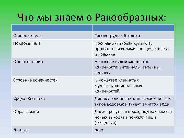 Что мы знаем о Ракообразных: Строение тела Головогрудь и брюшко Покровы тела Прочная хитиновая