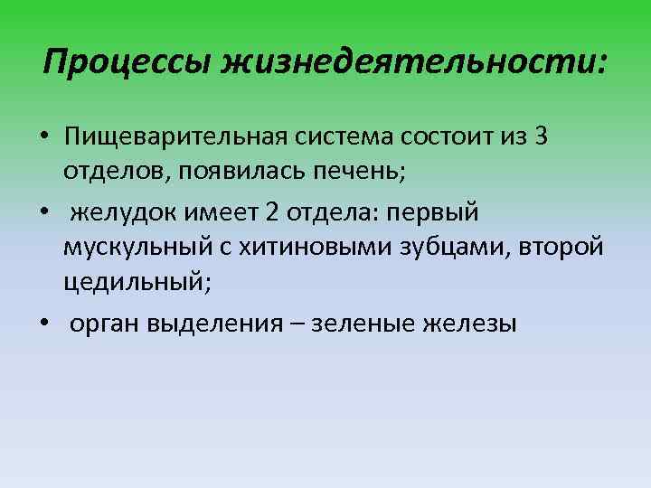 Процессы жизнедеятельности: • Пищеварительная система состоит из 3 отделов, появилась печень; • желудок имеет