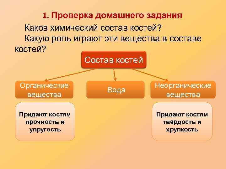 1. Проверка домашнего задания Каков химический состав костей? Какую роль играют эти вещества в