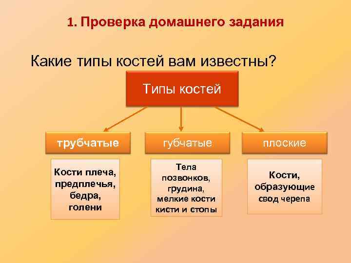 1. Проверка домашнего задания Какие типы костей вам известны? Типы костей трубчатые Кости плеча,