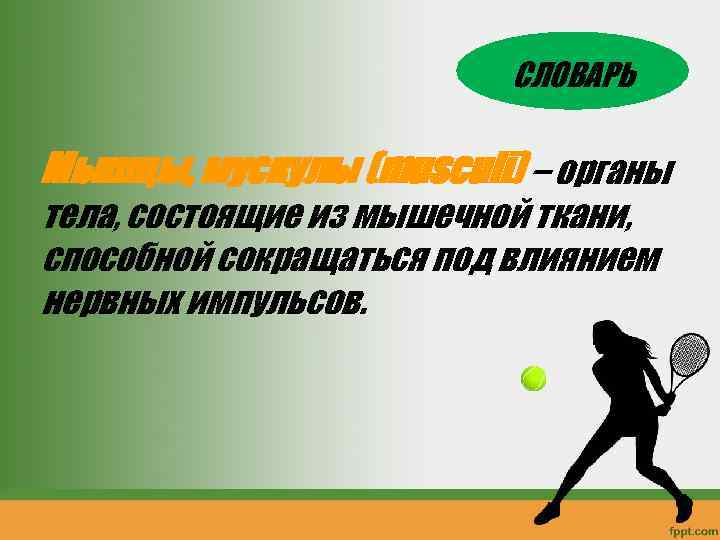 СЛОВАРЬ Мышцы, мускулы (musculi) – органы тела, состоящие из мышечной ткани, способной сокращаться под