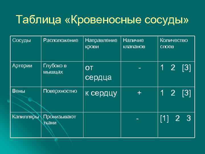 Таблица «Кровеносные сосуды» Сосуды Расположение Направление крови Артерии Глубоко в мышцах от сердца -