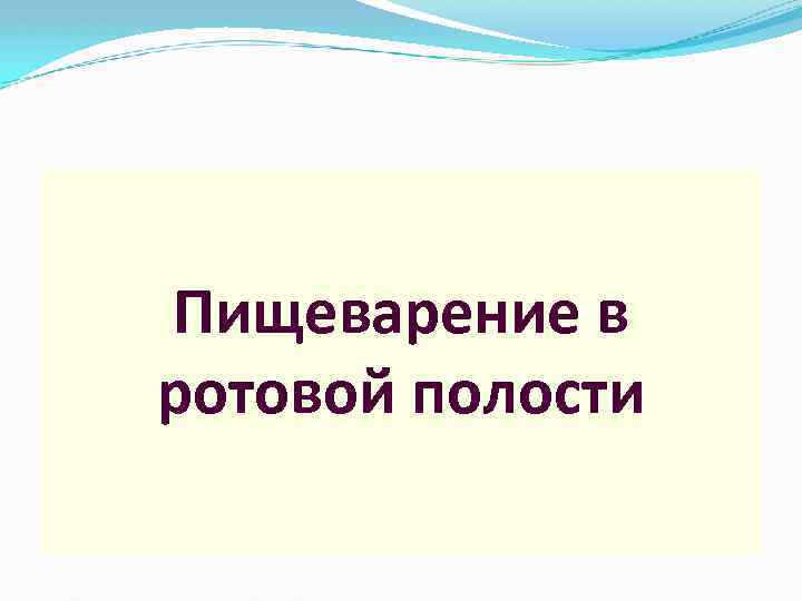 Пищеварение в ротовой полости 