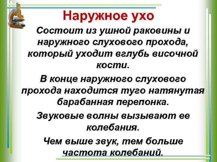 Наружное ухо Состоит из ушной раковины и наружного слухового прохода, который уходит вглубь височной