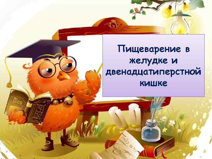 Пищеварение в желудке и двенадцатиперстной кишке 