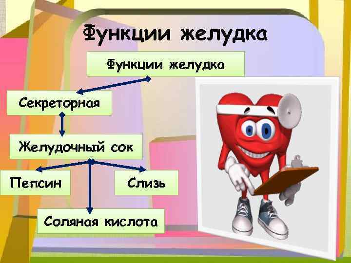 Функции желудка Секреторная Желудочный сок Пепсин Слизь Соляная кислота 