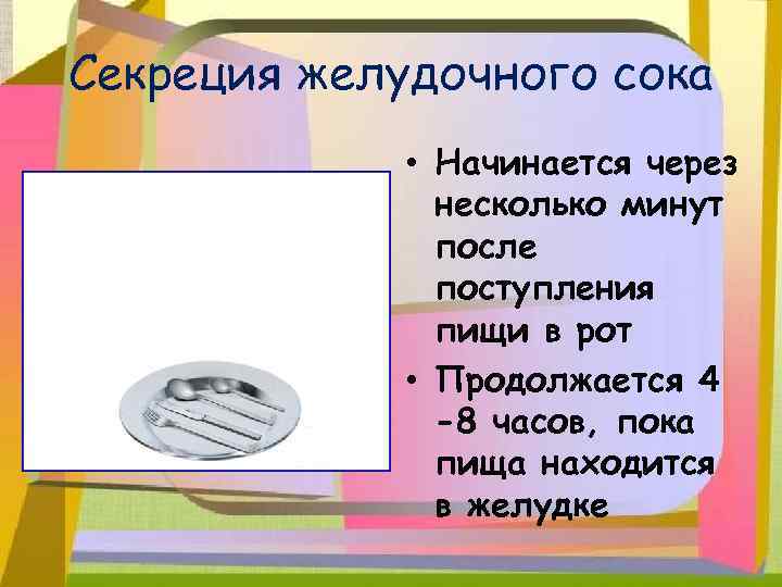 Секреция желудочного сока • Начинается через несколько минут после поступления пищи в рот •