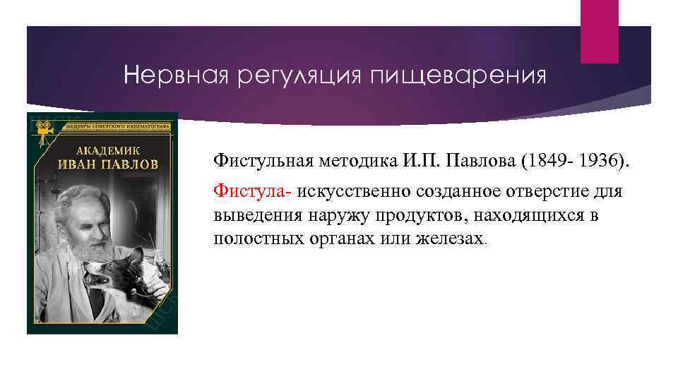 Нервная регуляция пищеварения Фистульная методика И. П. Павлова (1849 - 1936). Фистула- искусственно созданное