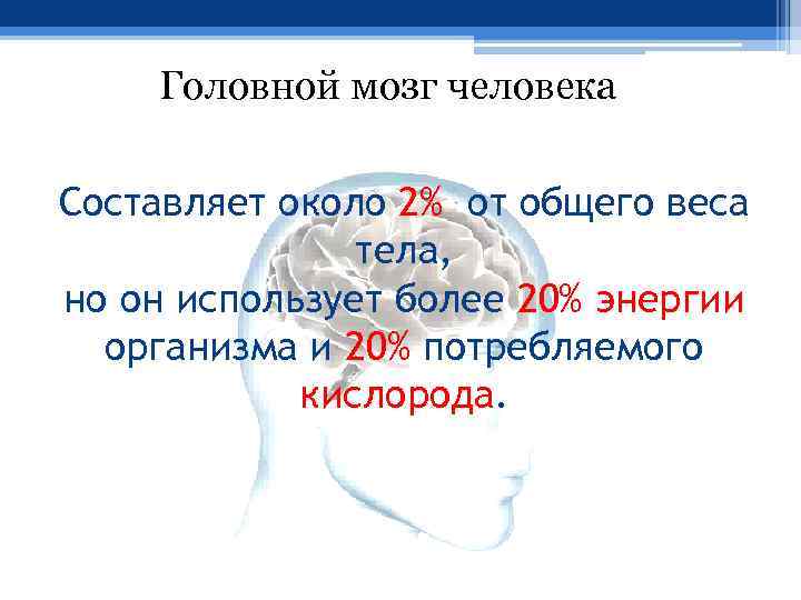 Головной мозг человека Составляет около 2% от общего веса тела, но он использует более