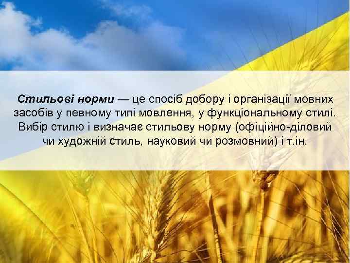 Стильові норми — це спосіб добору і організації мовних засобів у певному типі мовлення,