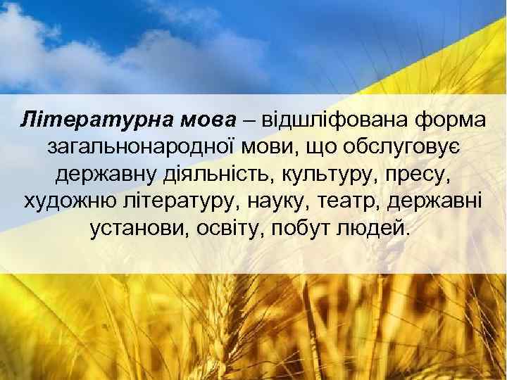 Літературна мова – відшліфована форма загальнонародної мови, що обслуговує державну діяльність, культуру, пресу, художню