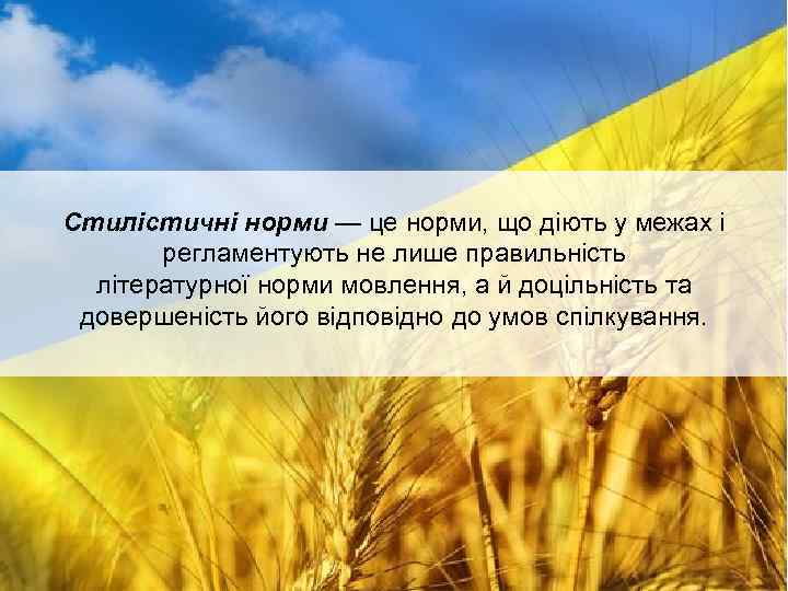 Стилістичні норми — це норми, що діють у межах і регламентують не лише правильність