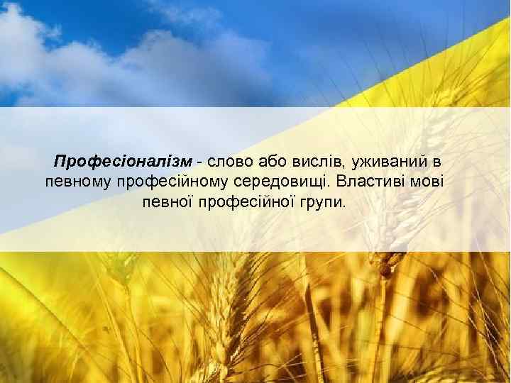 Професіоналізм - слово або вислів, уживаний в певному професійному середовищі. Властиві мові певної професійної